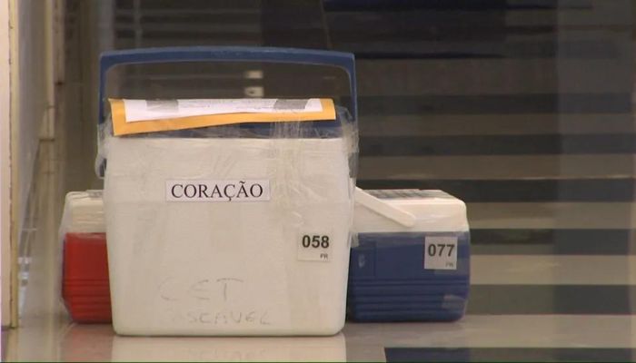 Cerca de 2,5 mil pessoas aguardam transplante no Paraná